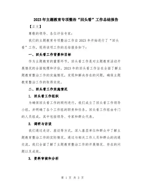 2023年主题教育专项整治“回头看”工作总结报告