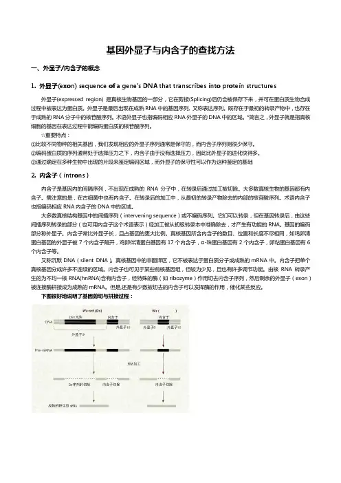 基因外显子与内含子的查找方法
