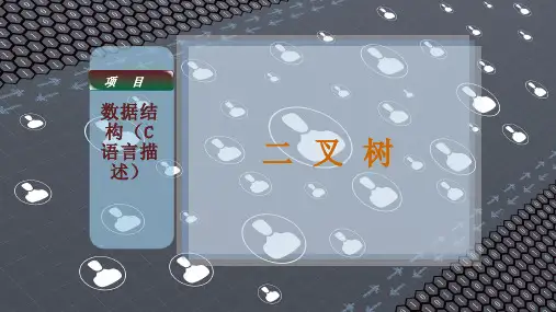 二 叉 树