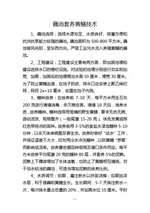 藕池套养黄鳝技术