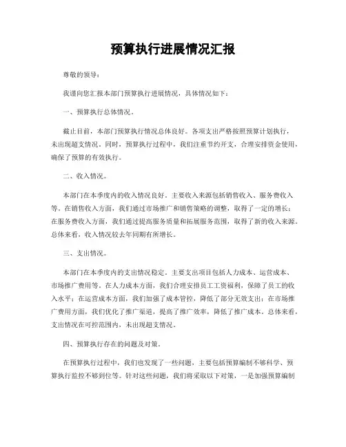 预算执行进展情况汇报