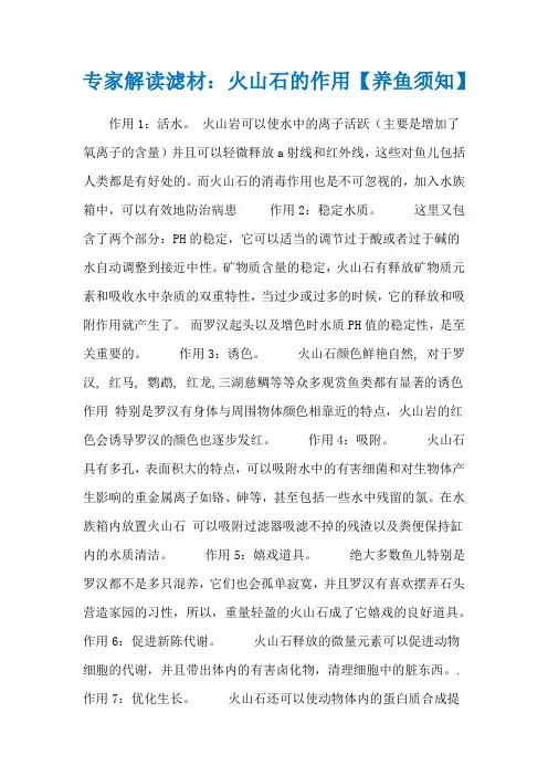 专家解读滤材：火山石的作用【养鱼须知】