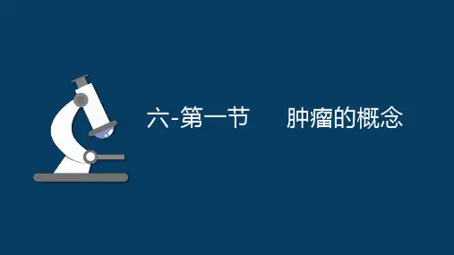 6.1.1肿瘤的概念优化病理形态学