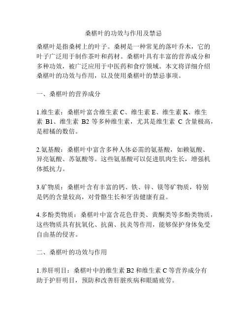 桑椹叶的功效与作用及禁忌