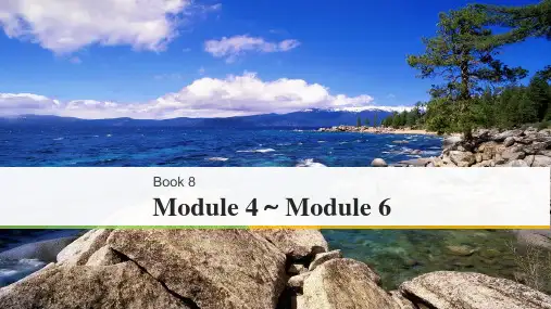 2020年高考英语(外研版)大一轮复习讲义(课件)Book 8 Module 4～Module 6