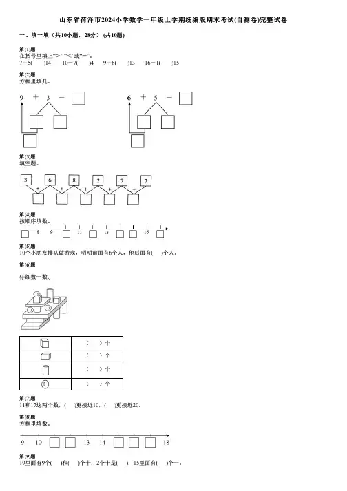 山东省荷泽市2024小学数学一年级上学期统编版期末考试(自测卷)完整试卷