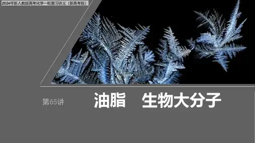 2024年新人教版高考化学一轮复习讲义(新高考版)  第10章 第65讲 油脂 生物大分子
