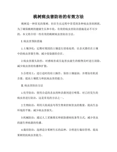 桃树病虫害防治的有效方法