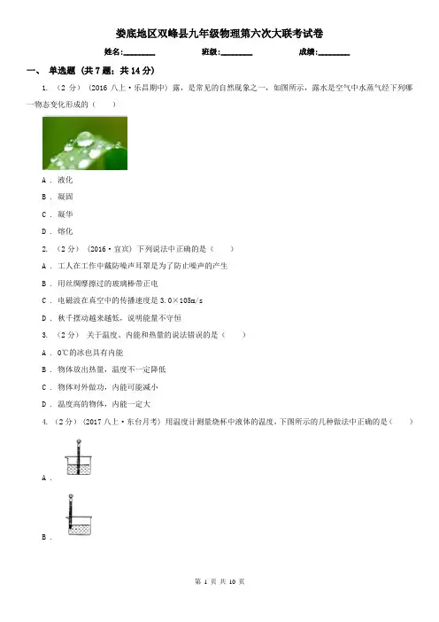 娄底地区双峰县九年级物理第六次大联考试卷