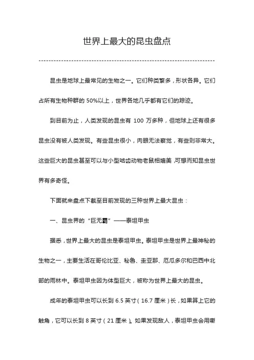 世界上最大的昆虫