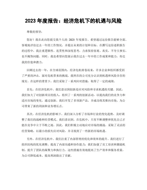 2023年度报告：经济危机下的机遇与风险