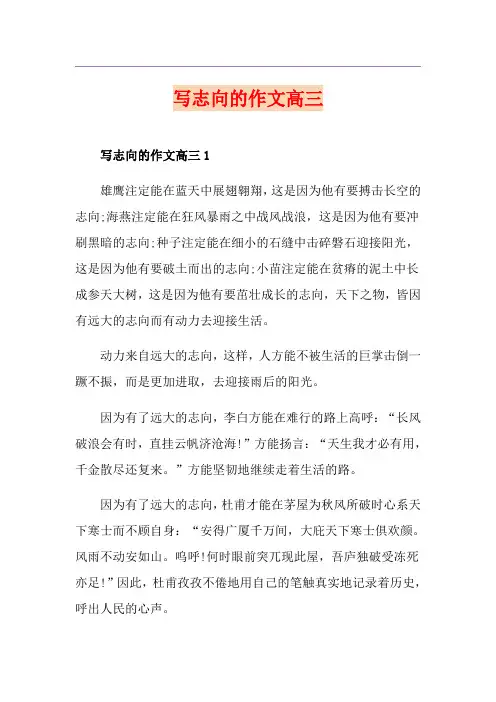 写志向的作文高三