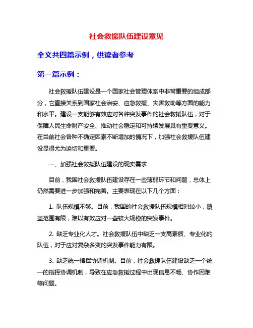社会救援队伍建设意见