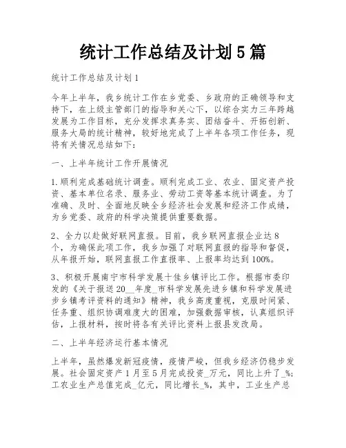 统计工作总结及计划5篇
