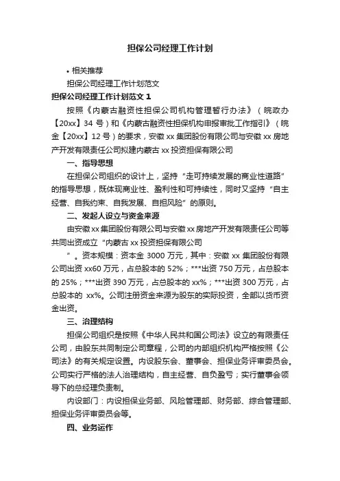 担保公司经理工作计划