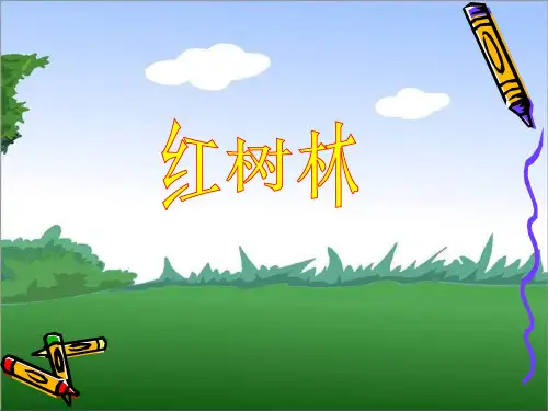 《红树林》课件