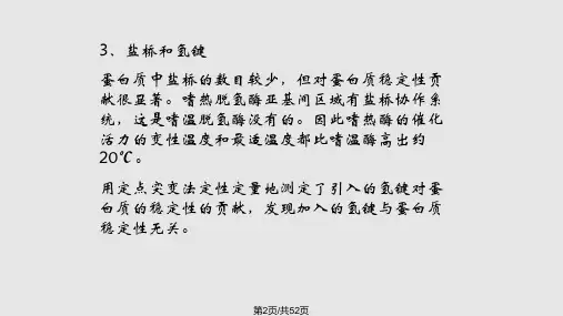 蛋白质的稳定性