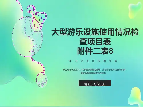 大型游乐设施使用情况检查项目表