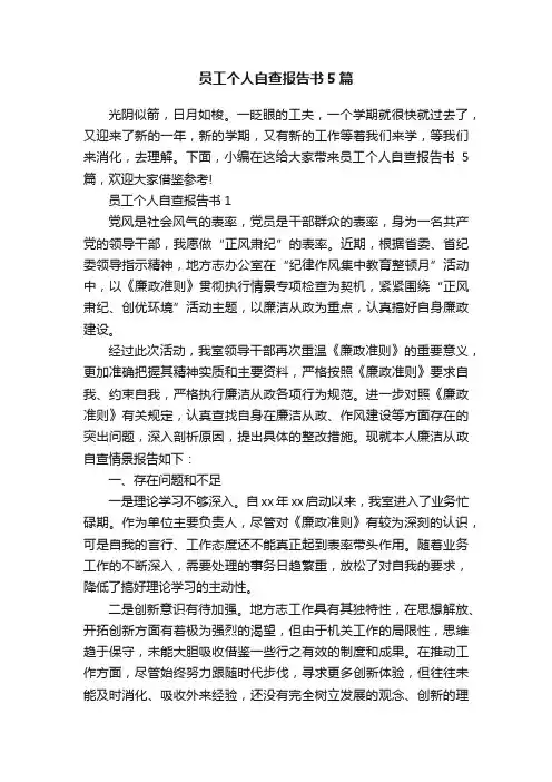 员工个人自查报告书5篇