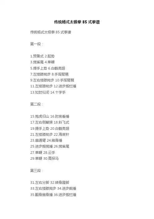 传统杨式太极拳85式拳谱