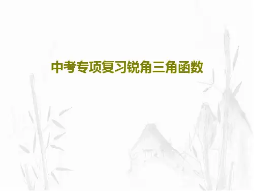 中考专项复习锐角三角函数88页PPT