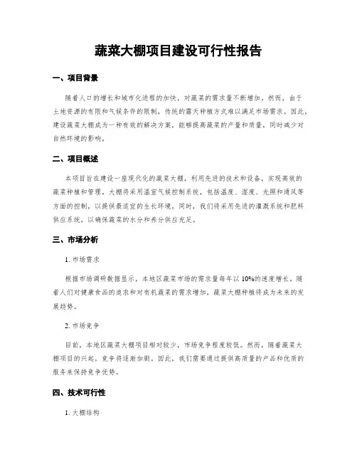 蔬菜大棚项目建设可行性报告
