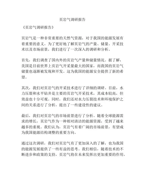 页岩气调研报告