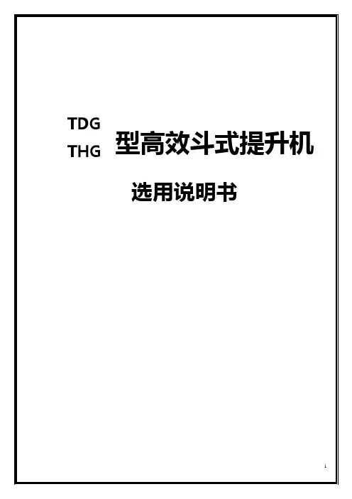 TDG(THG)型高效斗式提升机
