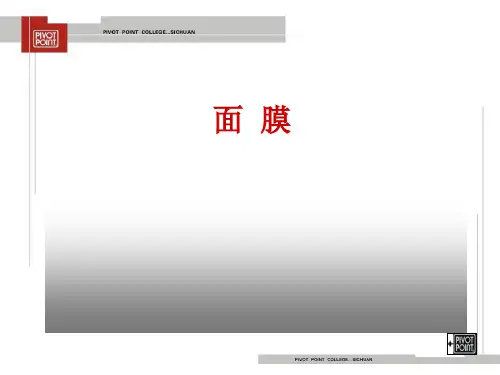 面膜ppt课件