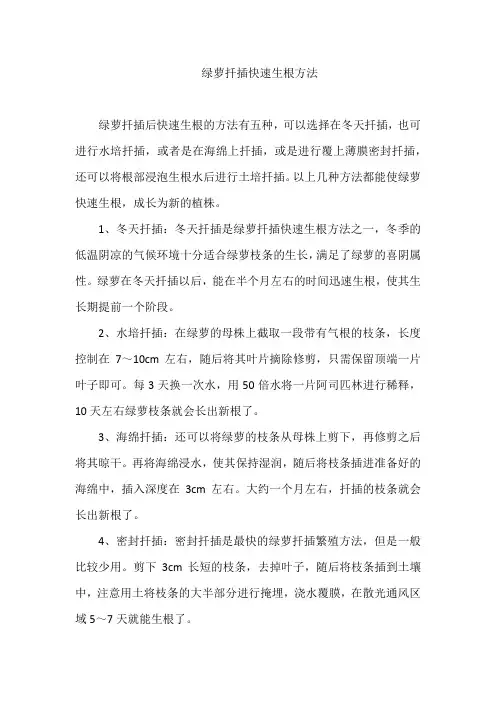 绿萝扦插快速生根方法