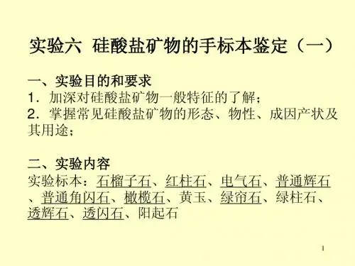 6实验六 硅酸盐矿物大类