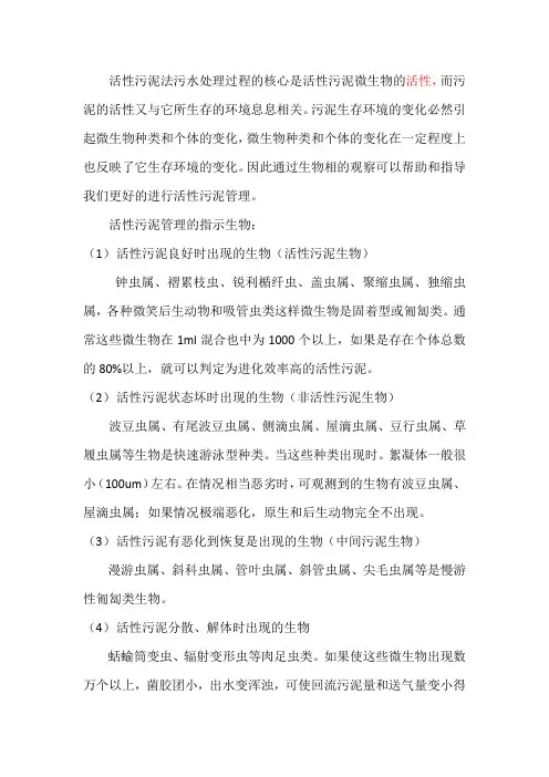 活性污泥管理指示生物