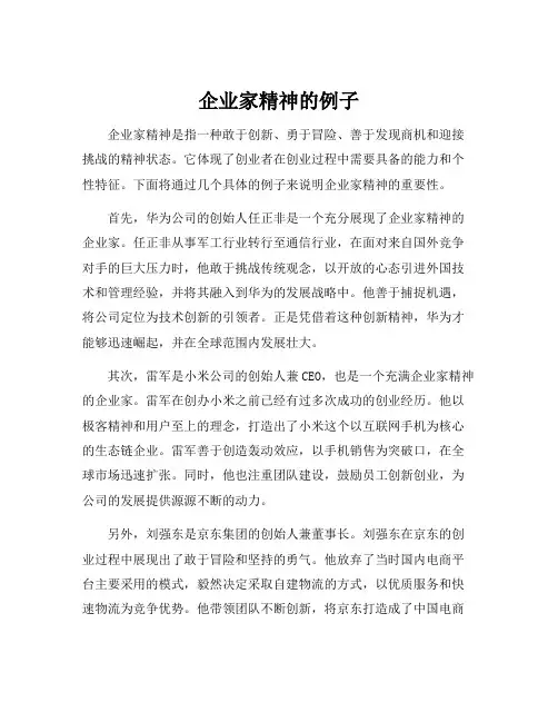 企业家精神的例子