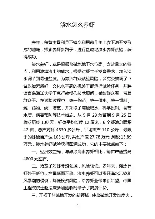 渗水怎么养虾