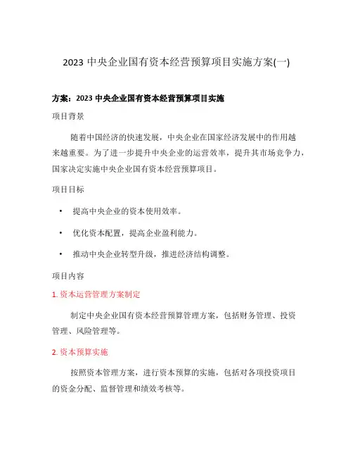 2023中央企业国有资本经营预算项目实施方案(一)