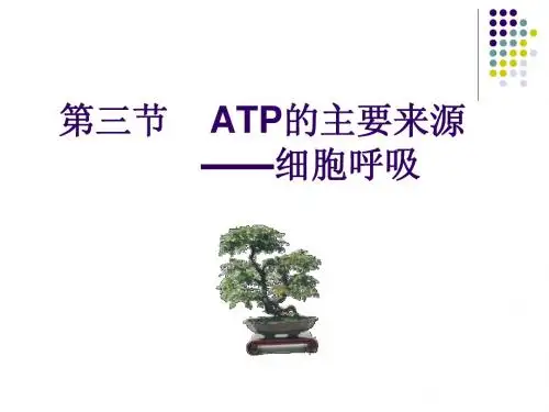 人教版教学课件云南省弥勒县庆来中学2011-2012学年高一生物 atp的主要来源(课件)