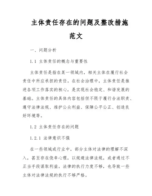 主体责任存在的问题及整改措施范文