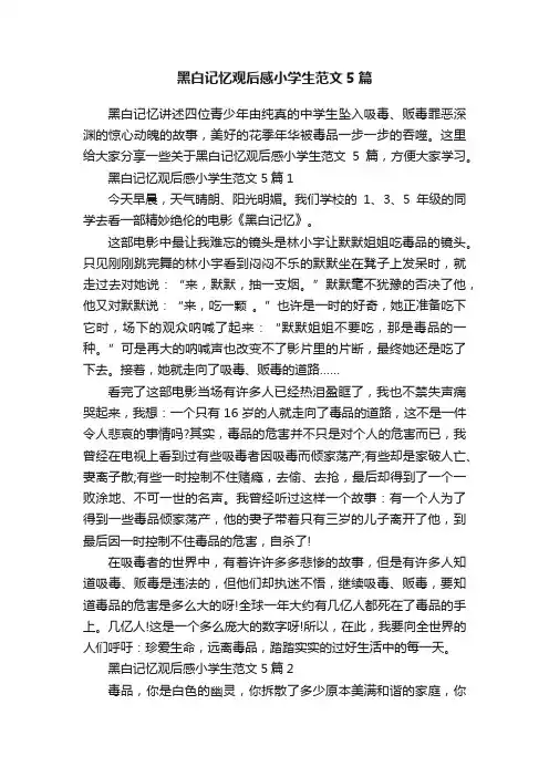 黑白记忆观后感小学生范文5篇