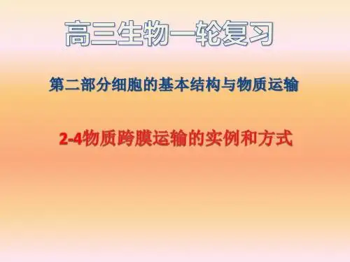 2-4物质跨膜运输的实例和方式