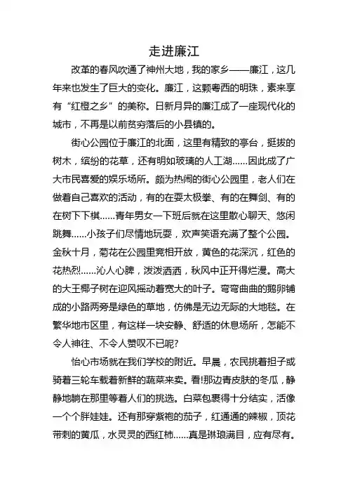 带你走进廉江作文