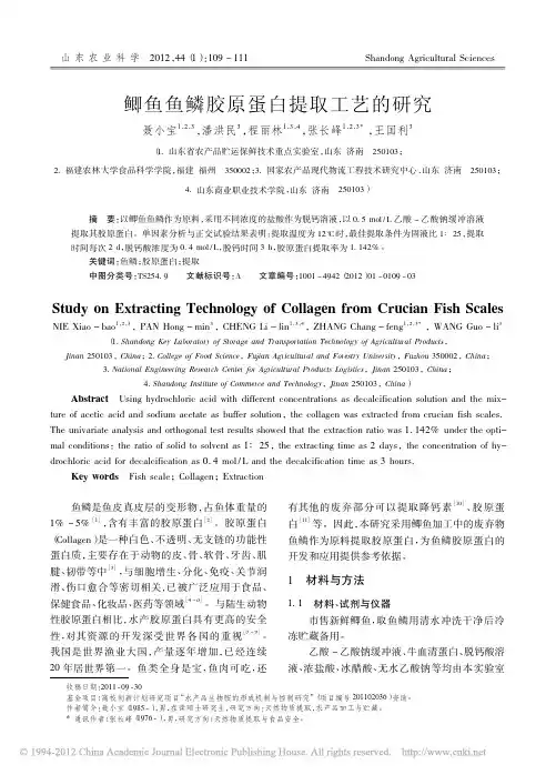 鲫鱼鱼鳞胶原蛋白提取工艺的研究_聂小宝