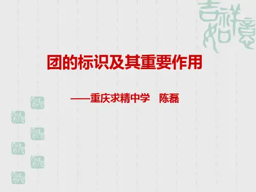 团的标识及其重要作用