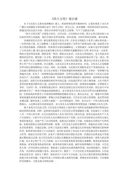 四大文明观后感