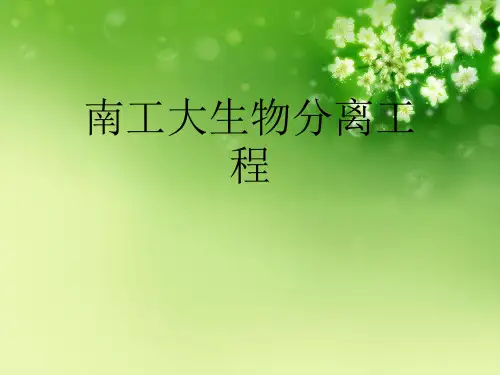 南工大生物分离工程