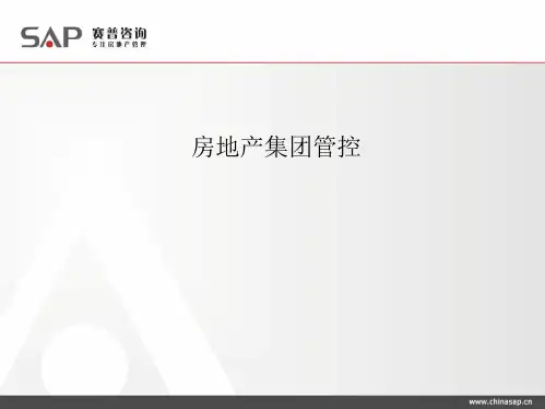 房地产集团组织管控模式_87PPT_赛普咨询