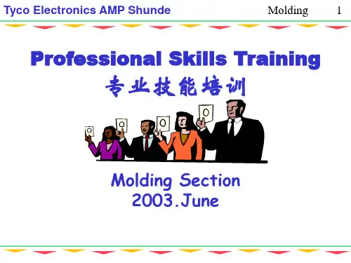 MOLDING---塑料知识培训教材