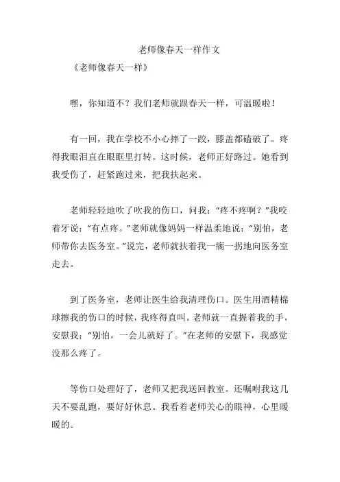 老师像春天一样作文