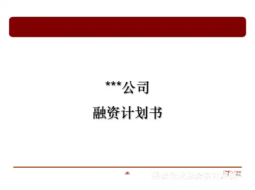 公司融资计划书ppt课件