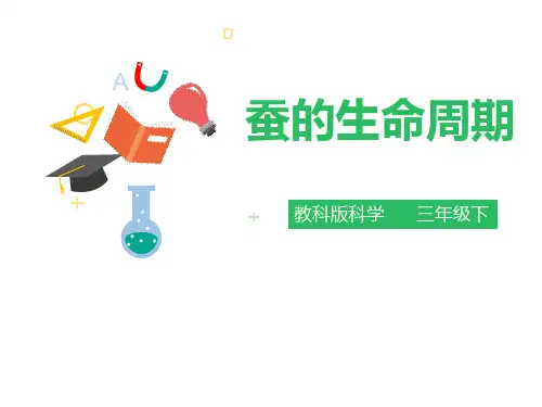 教科版三年级下册科学《蚕的生命周期》动物的生命周期说课教学课件