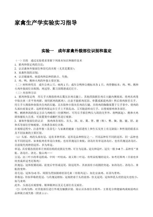 家禽生产学实验实习指导